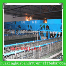 china popular and good quality equipment for the chicken coop